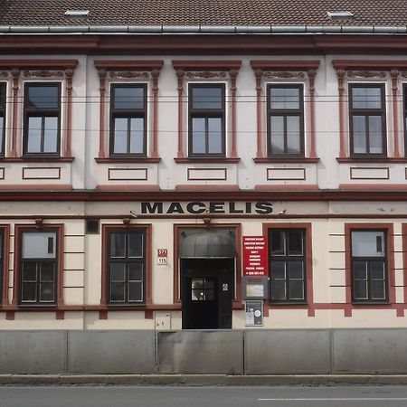 Pension Macelis 捷克布杰约维采 外观 照片